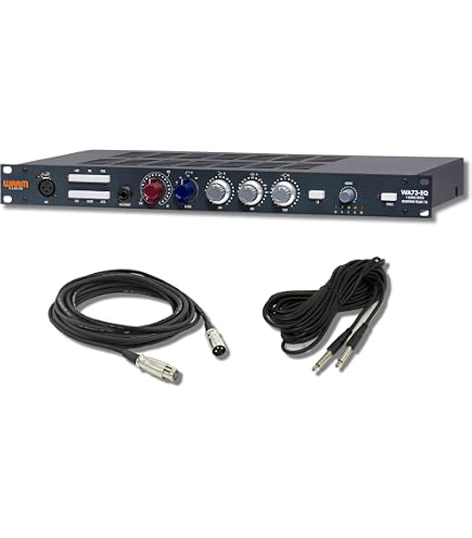Amazon.com: Warm Audio WA273 Microphone Preamp : Musical Instruments